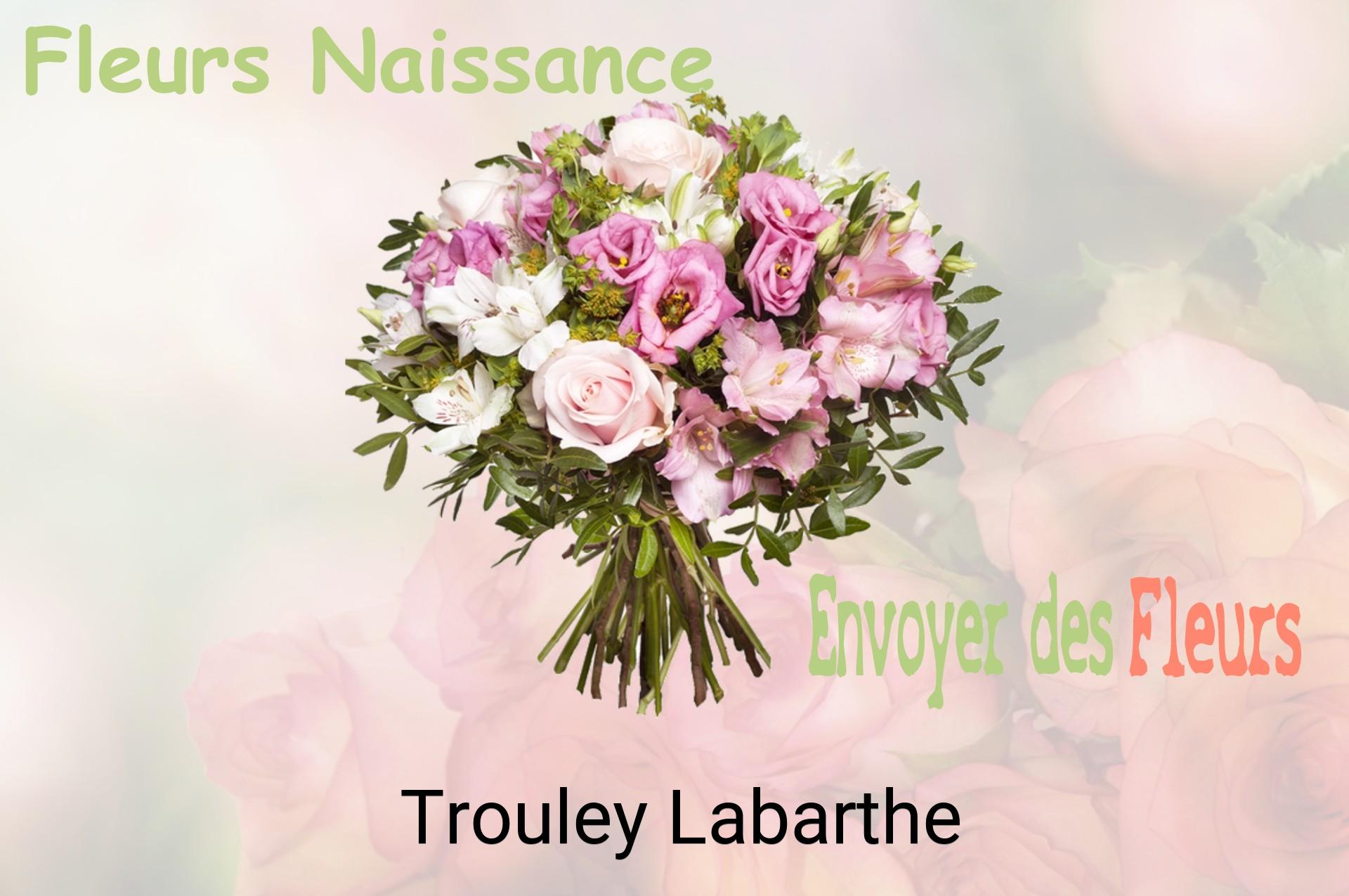 Bouquet de fleurs de naissance livré à Trouley-Labarthe