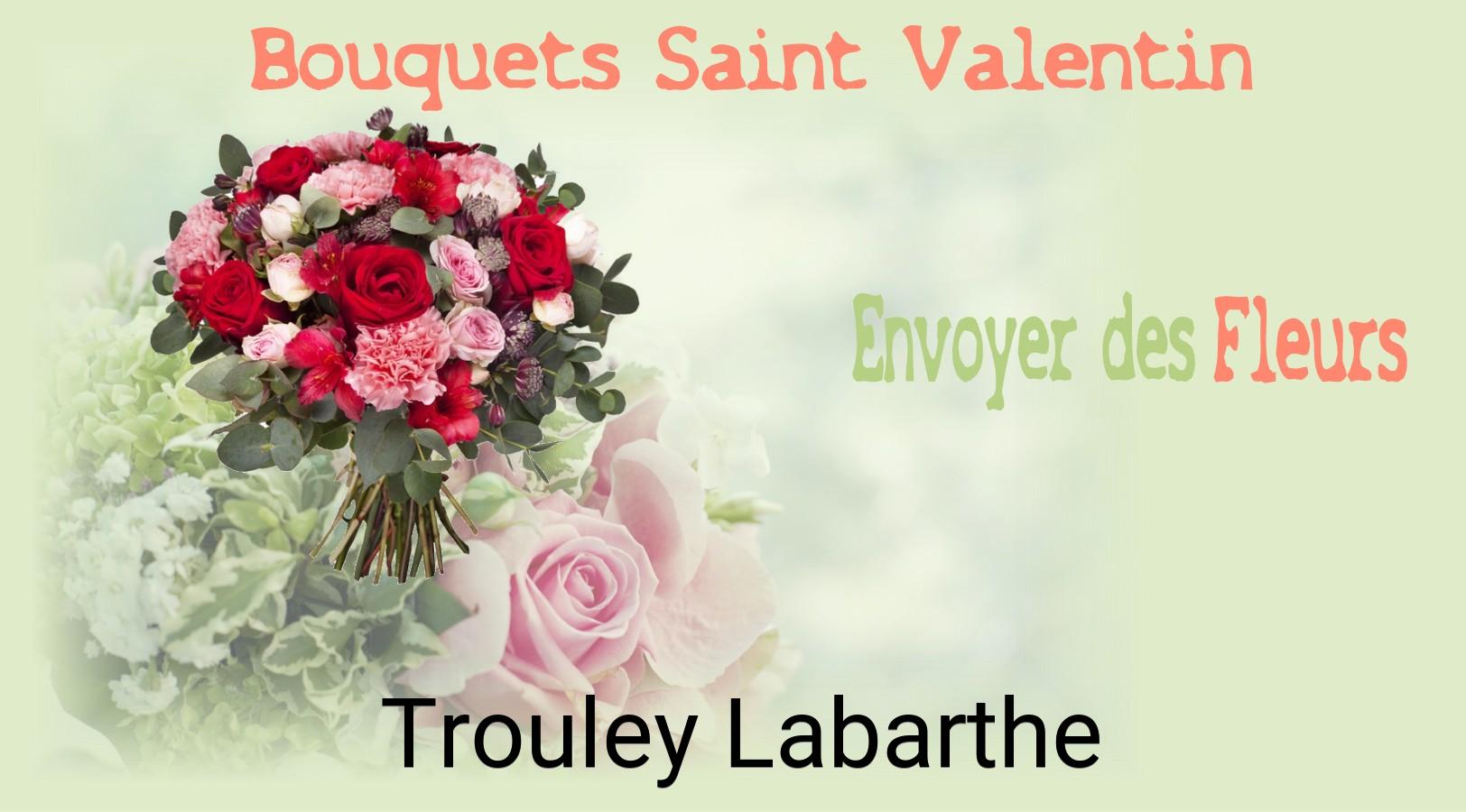 Roses de Saint-Valentin livrées à Trouley-Labarthe