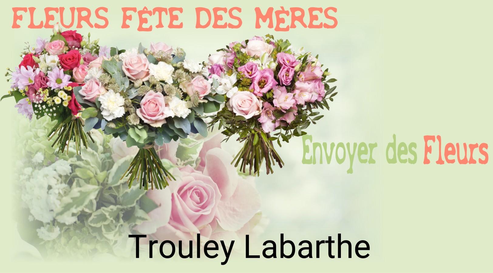 Bouquet de Fête des Mères livré à Trouley-Labarthe